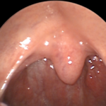 Screenshot 2024-01-25 115210