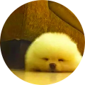 kaixin chen